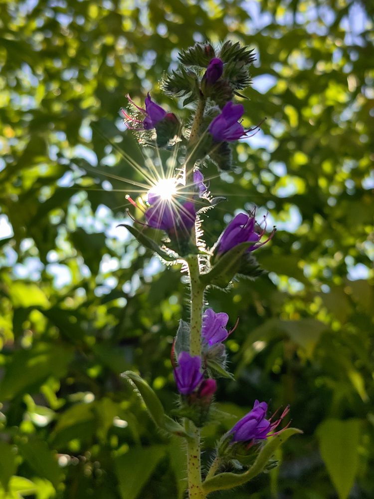 Photograph by Остап Благодатков