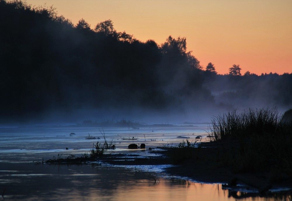 Фотография автора Светлана Терехова