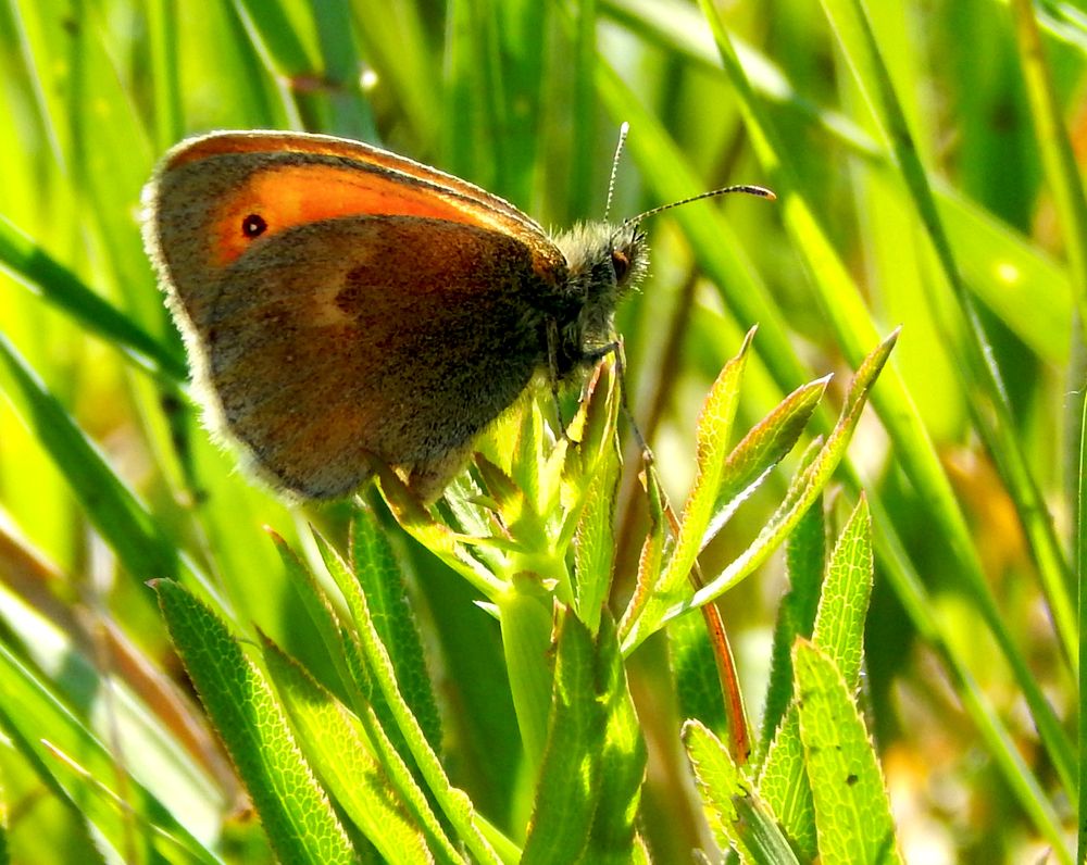 Photograph by Анастасия Моисеева