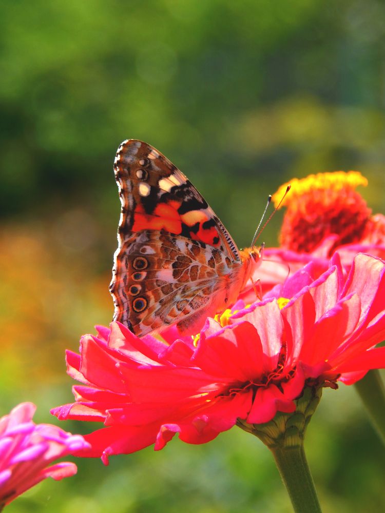 Photograph by Анастасия Моисеева