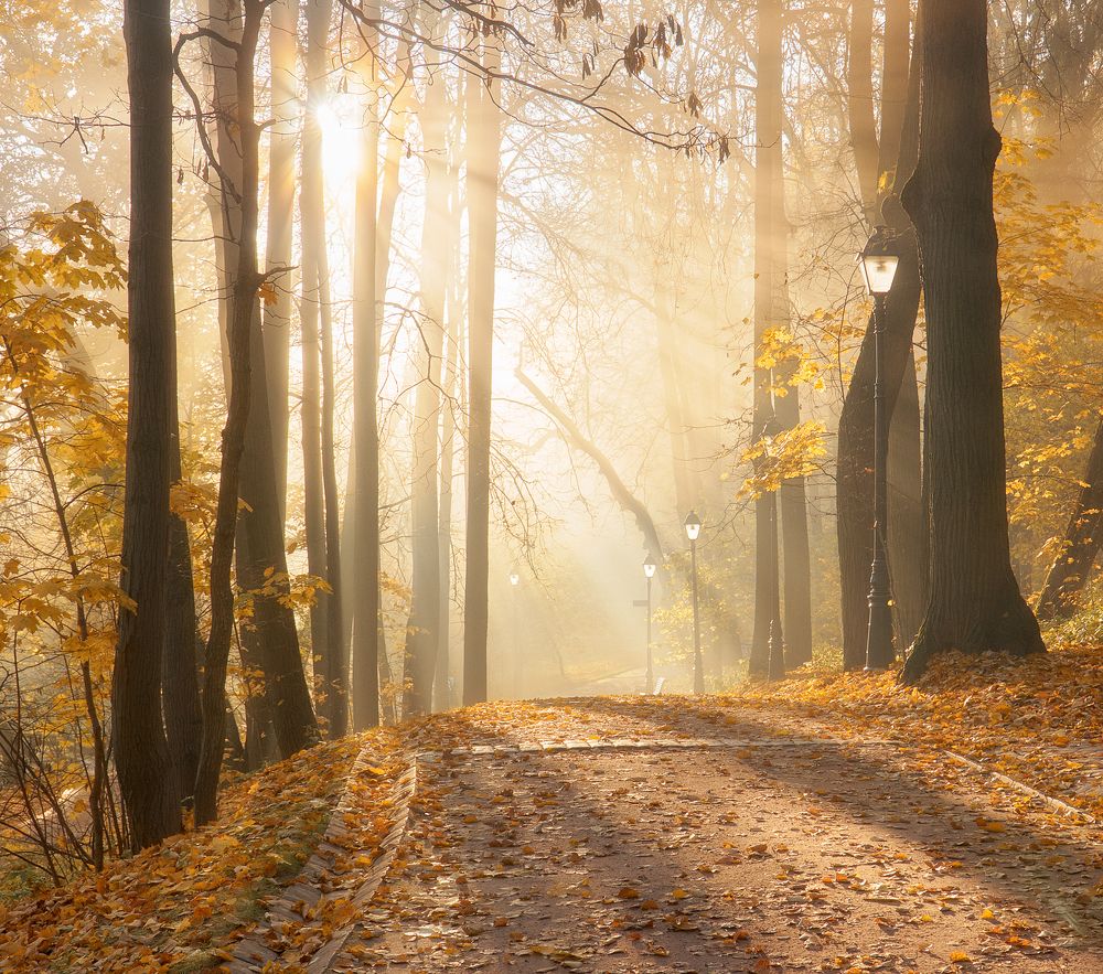 Photograph by Александр Гришин