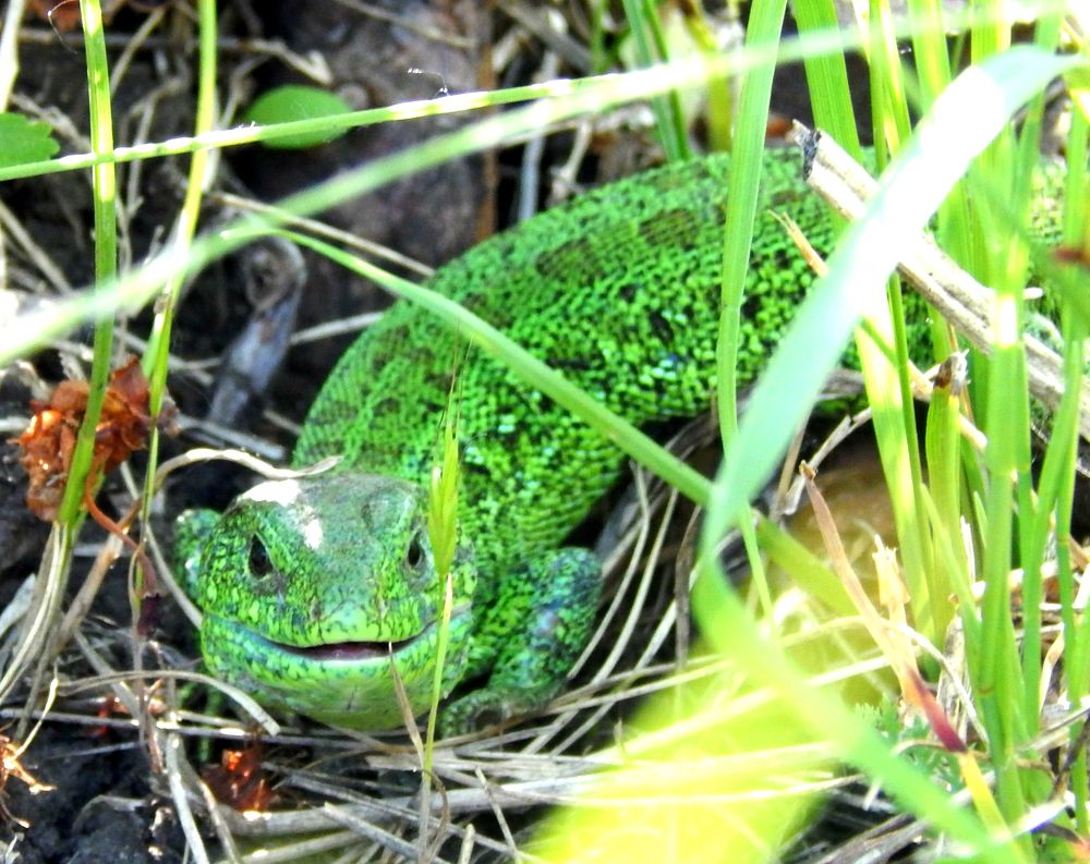 Photograph by Анастасия Моисеева