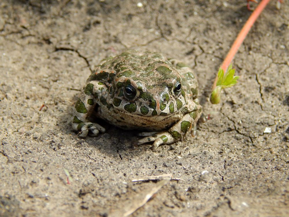 Photograph by Анастасия Моисеева