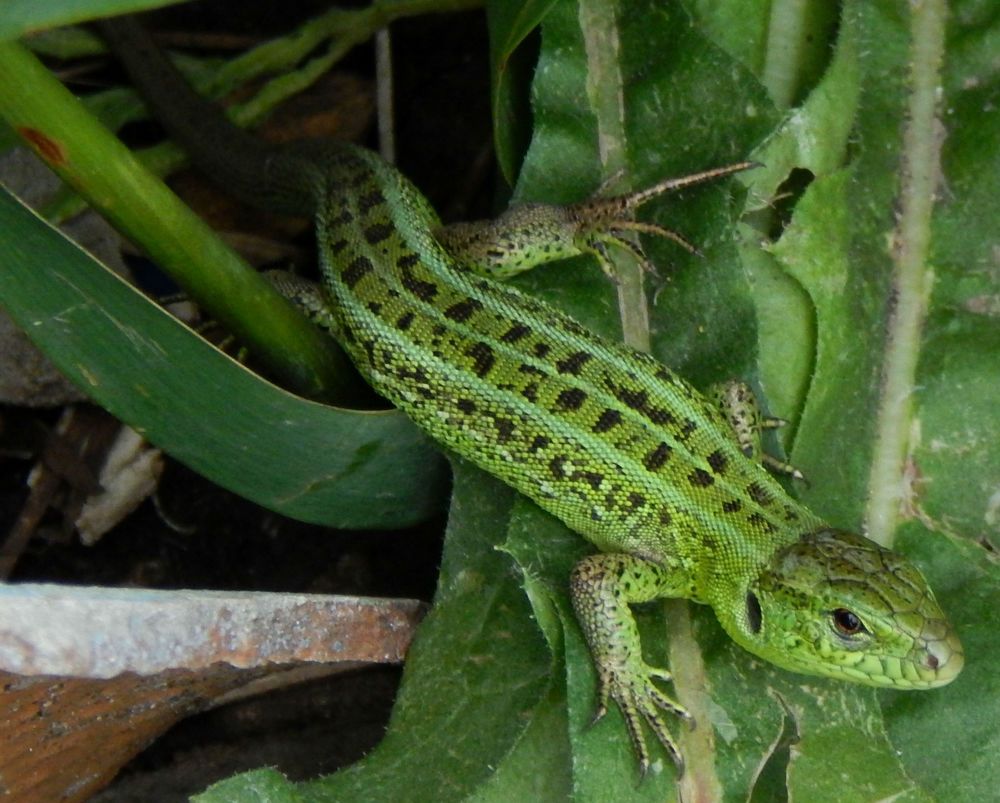 Photograph by Анастасия Моисеева