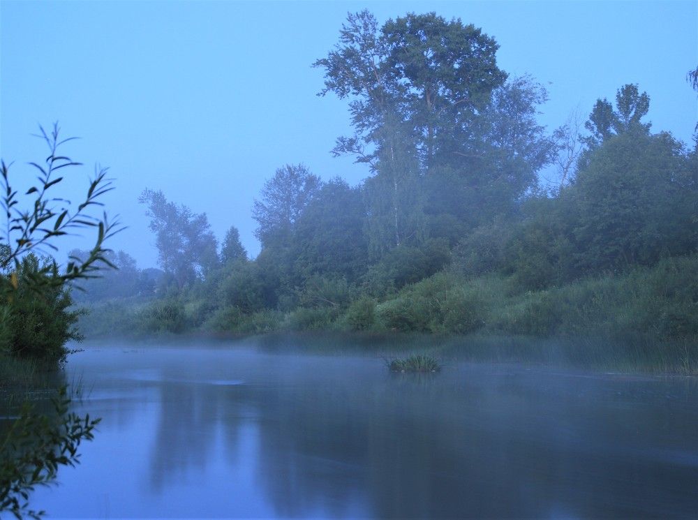 Фотография автора Светлана Терехова