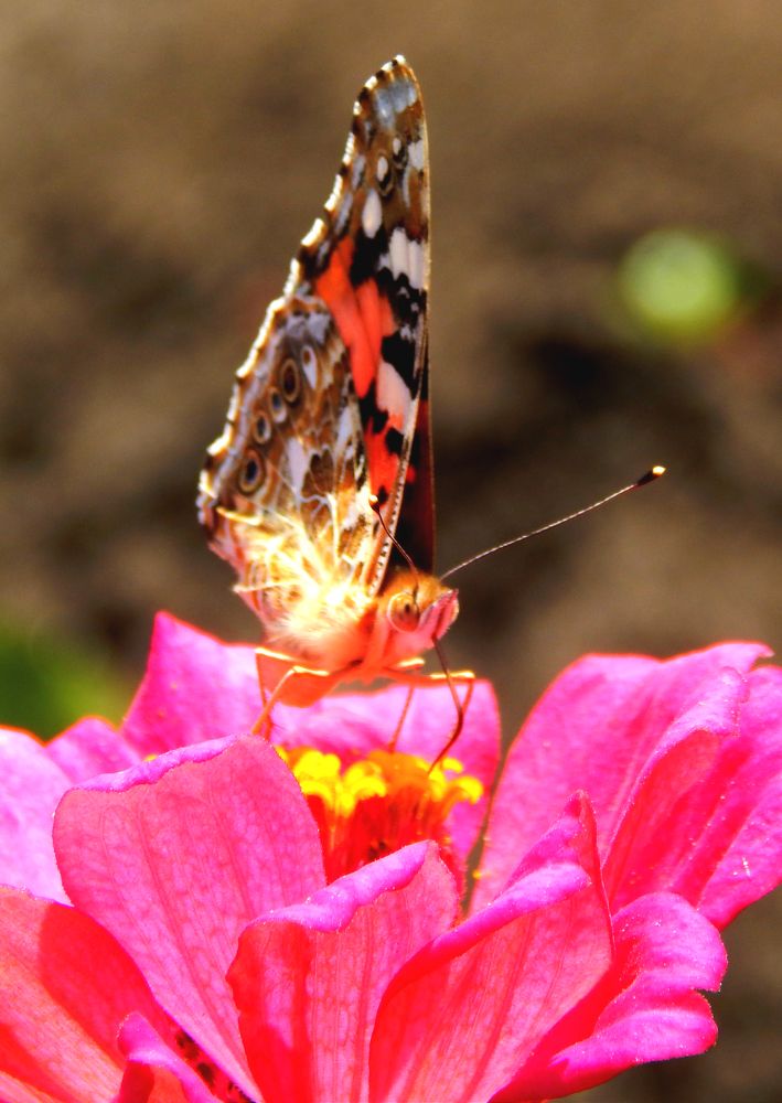 Photograph by Анастасия Моисеева