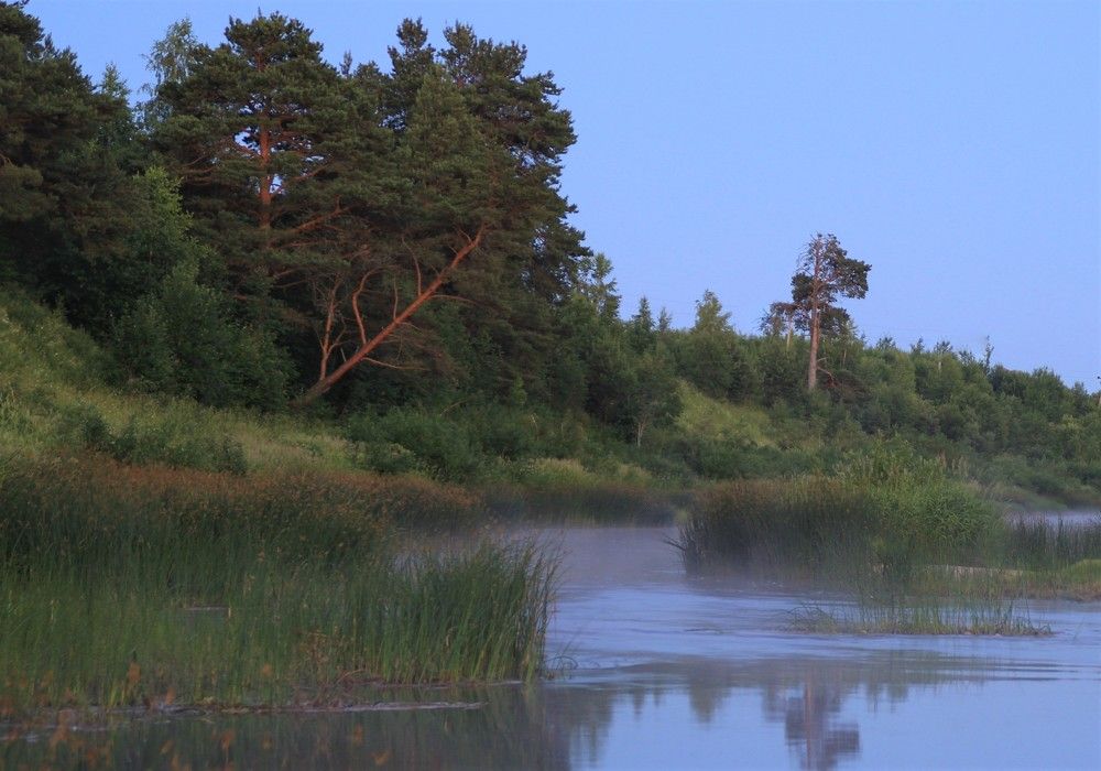 Фотография автора Светлана Терехова