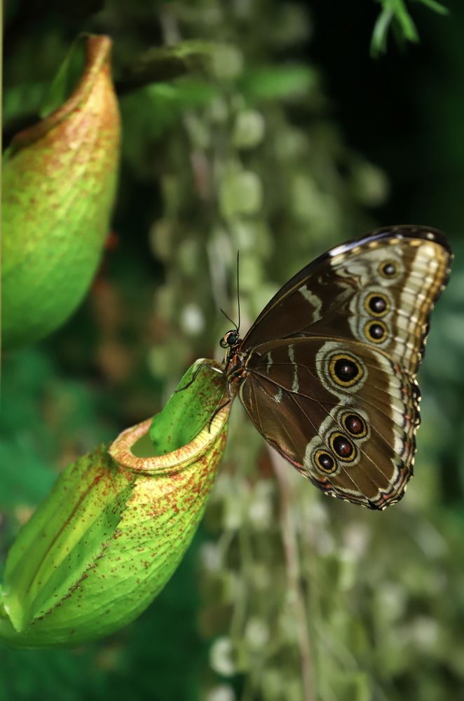 Photograph by елена