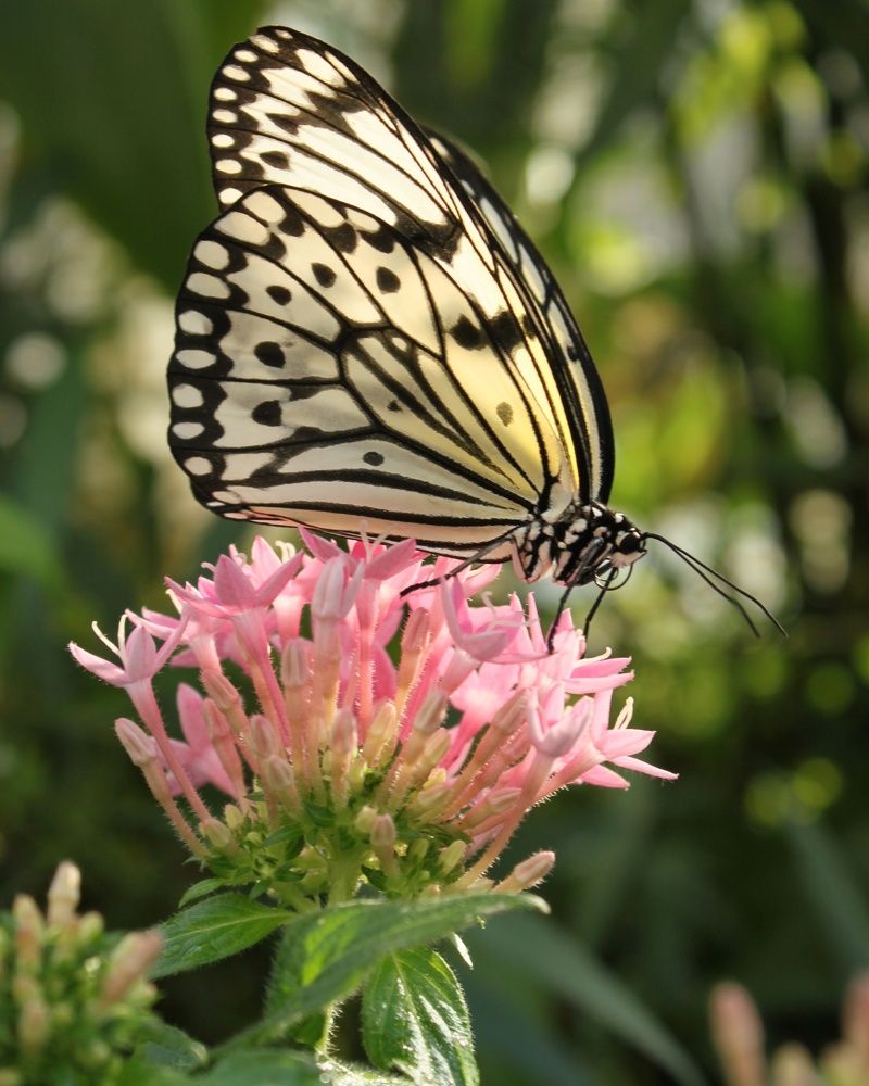 Photograph by Марина Регенспергер