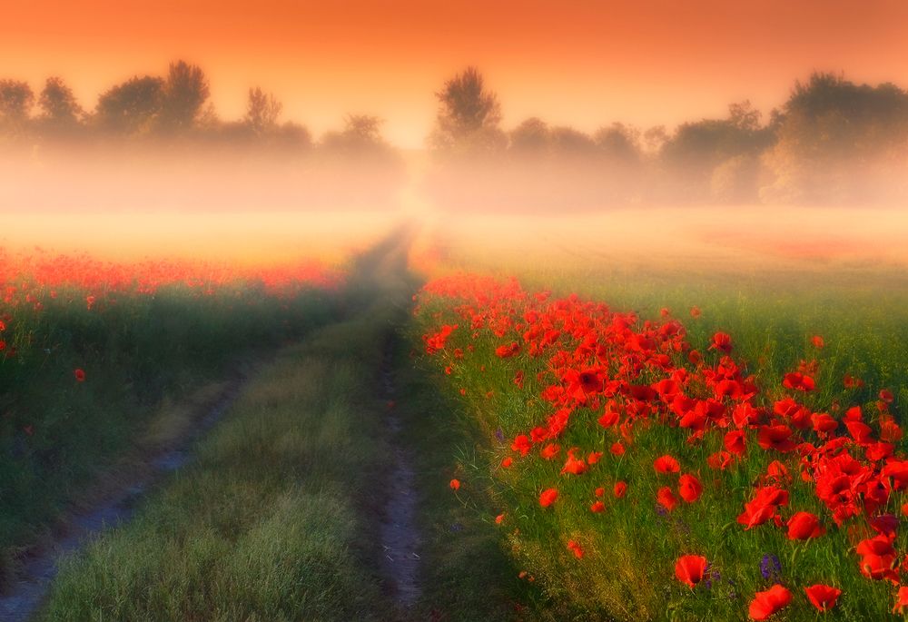 Photograph by Владимир