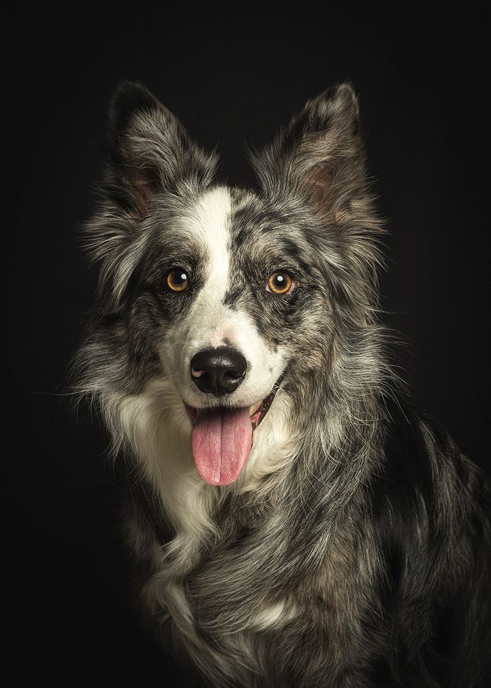 Photograph by Manu Echeverria