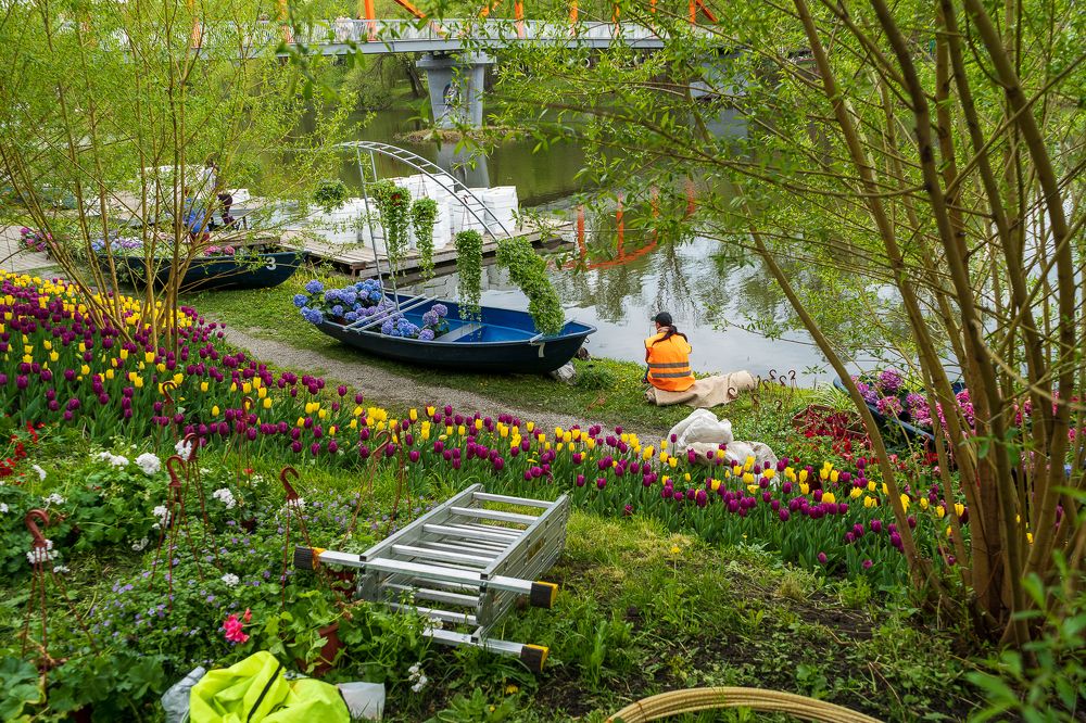 Photograph by Сурков Владимир