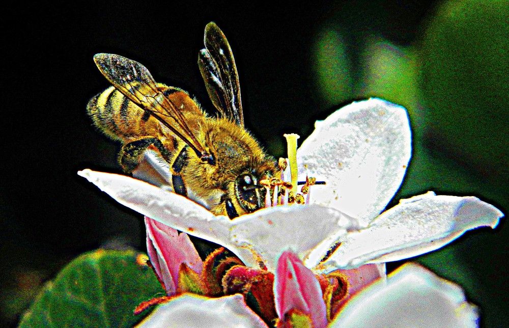Photograph by Сергей Рапопорт