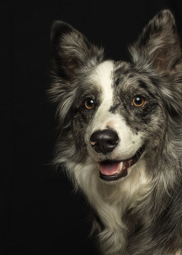 Photograph by Manu Echeverria