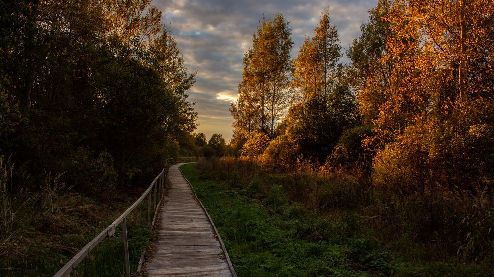 Photograph by Онейра Скриптор