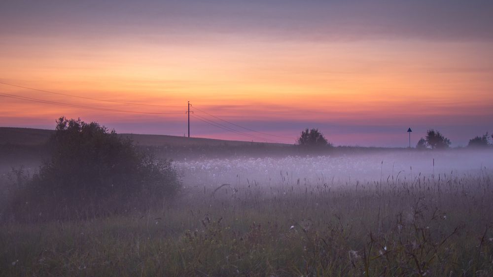 Photograph by Victoria Popkova