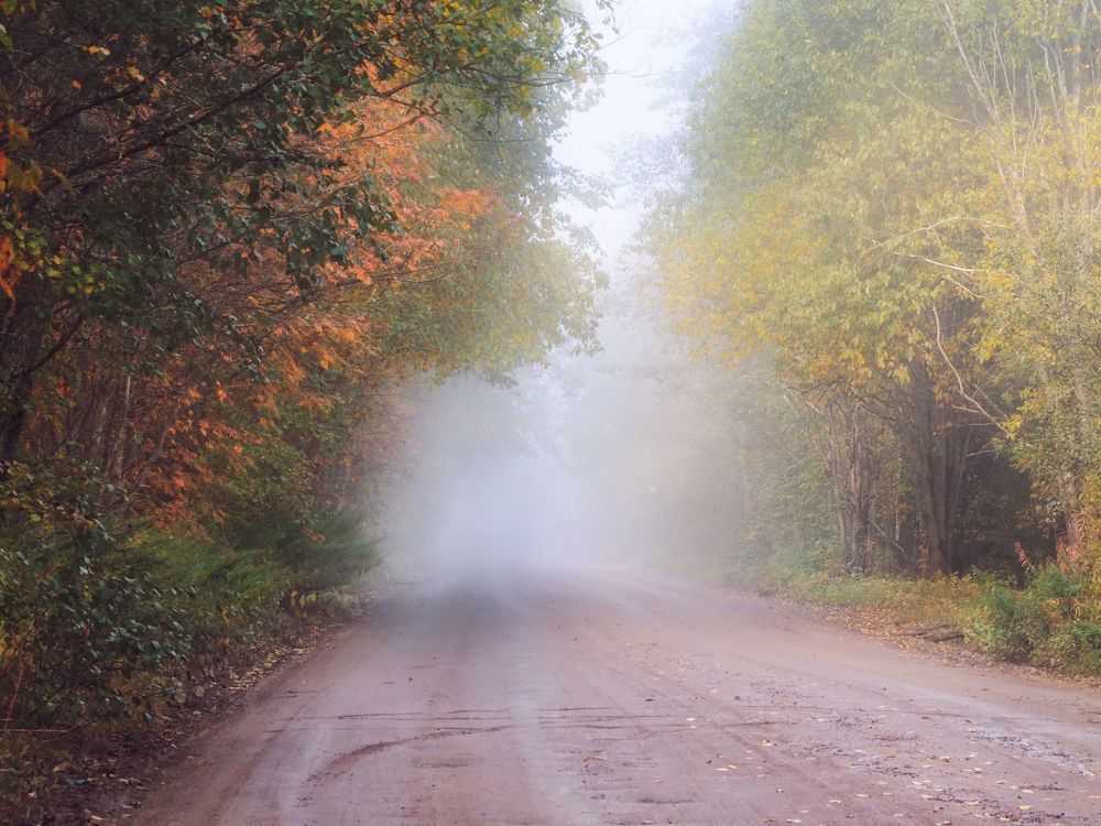 Photograph by Дмитрий Шамин