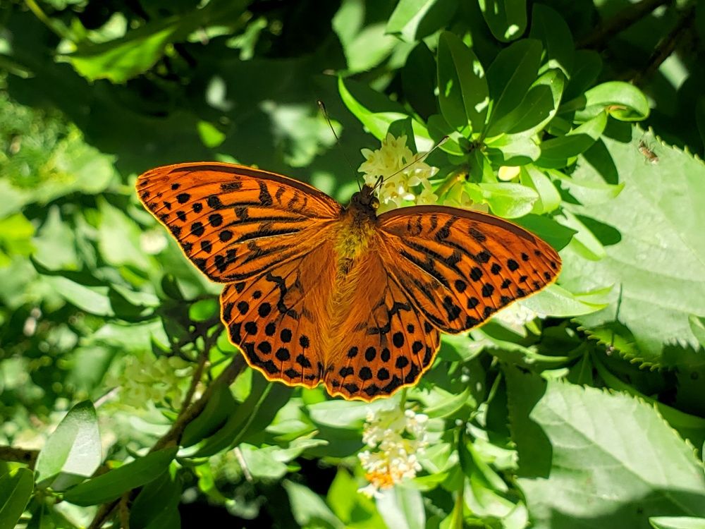 Photograph by Сергей Кравченко