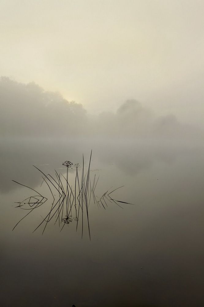 Photograph by Алексей Дудинский