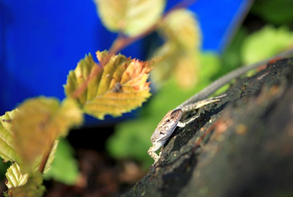 Photograph by Сергей Христинич