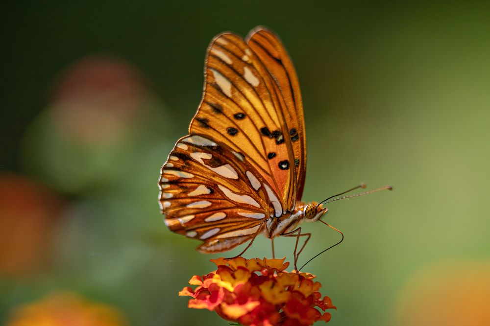 Photograph by Andre Miranda