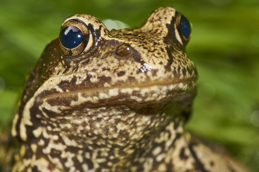 Photograph by сергей воробьёв