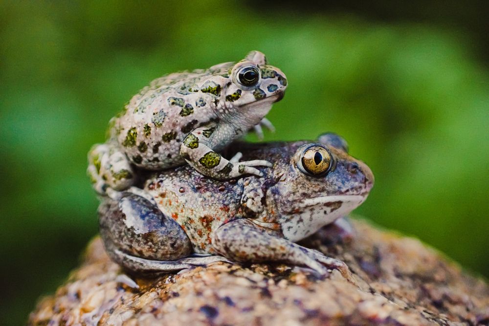 Photograph by Александр Казак