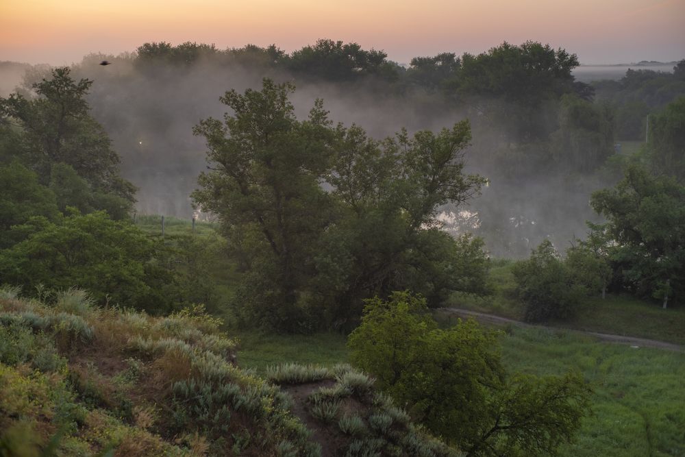 Photograph by Дина Железнова