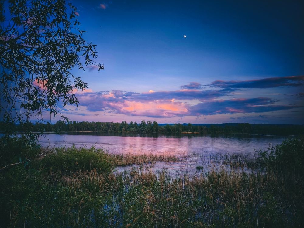 Photograph by Konstantin Martynov