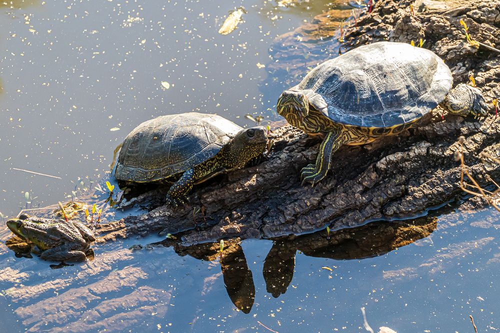 Photograph by Сурков Владимир
