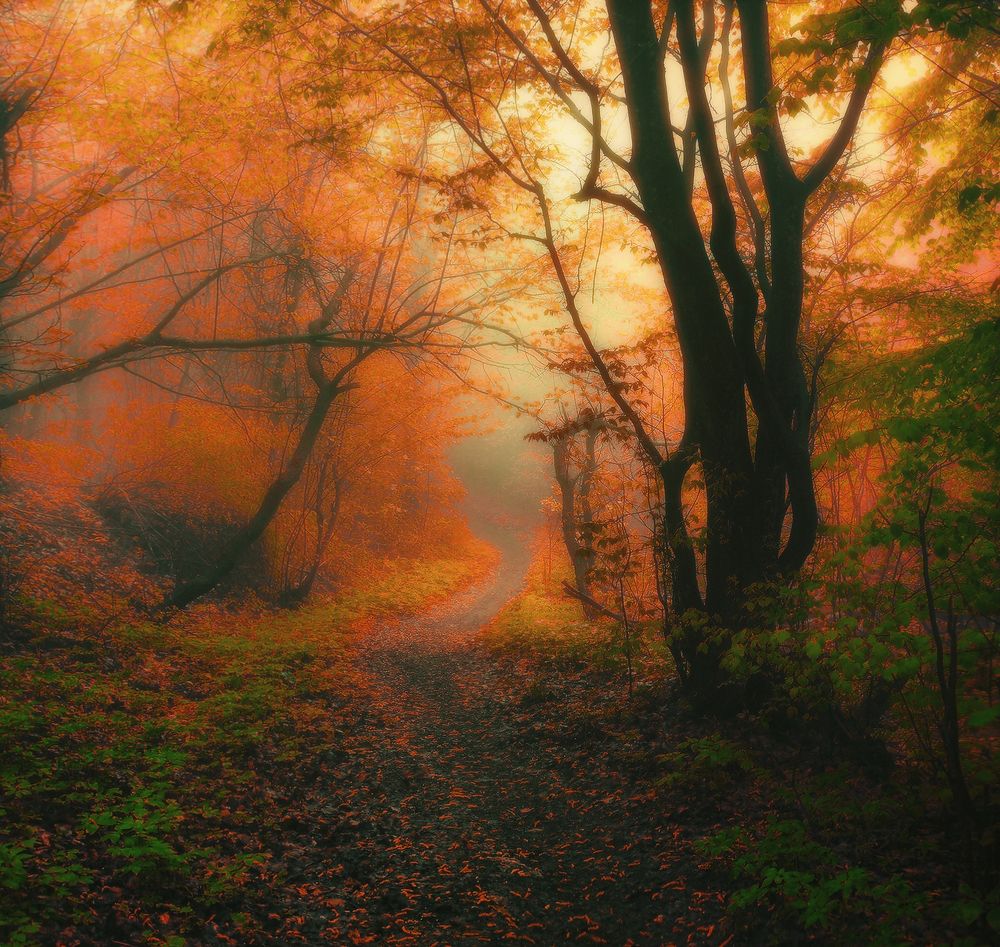 Photograph by Владимир