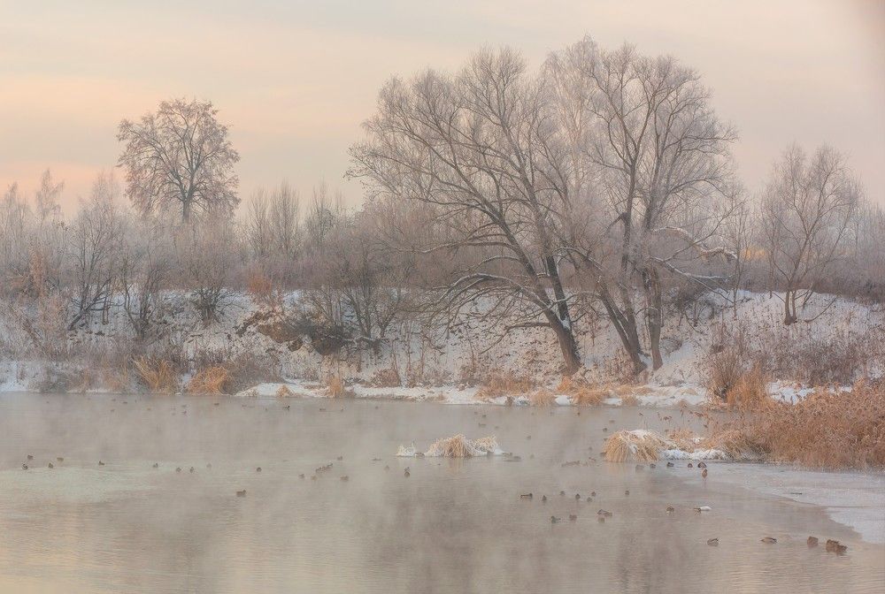 Photograph by Александр Литвинов