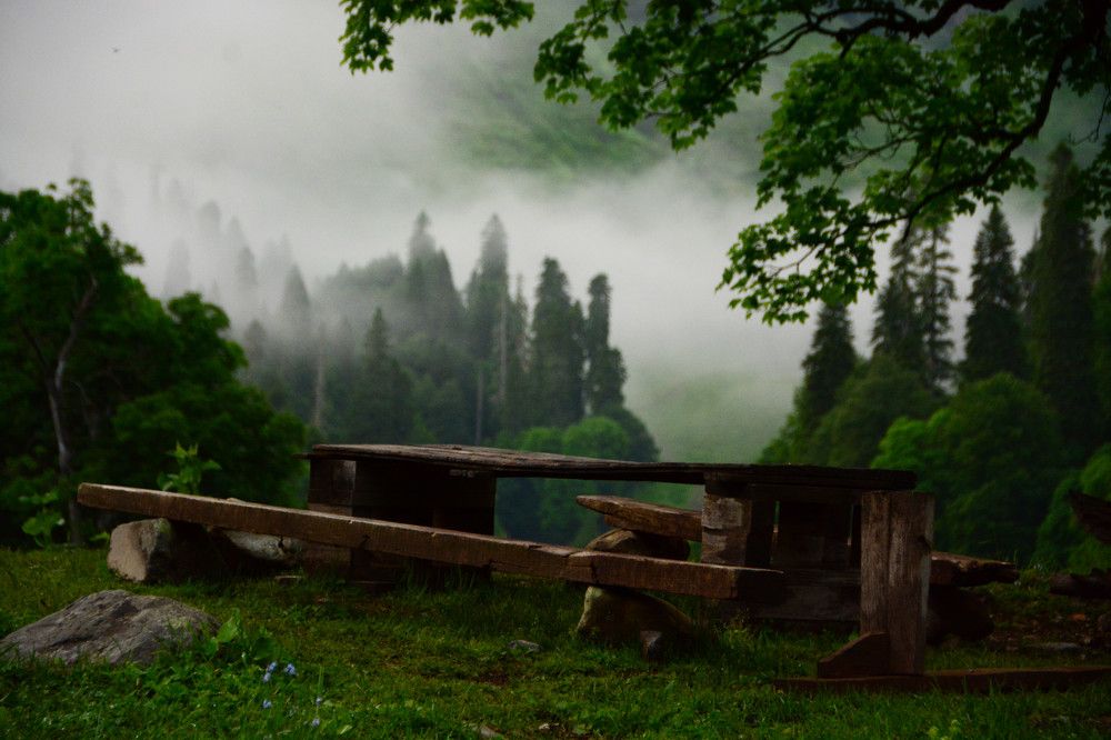 Photograph by Наталья