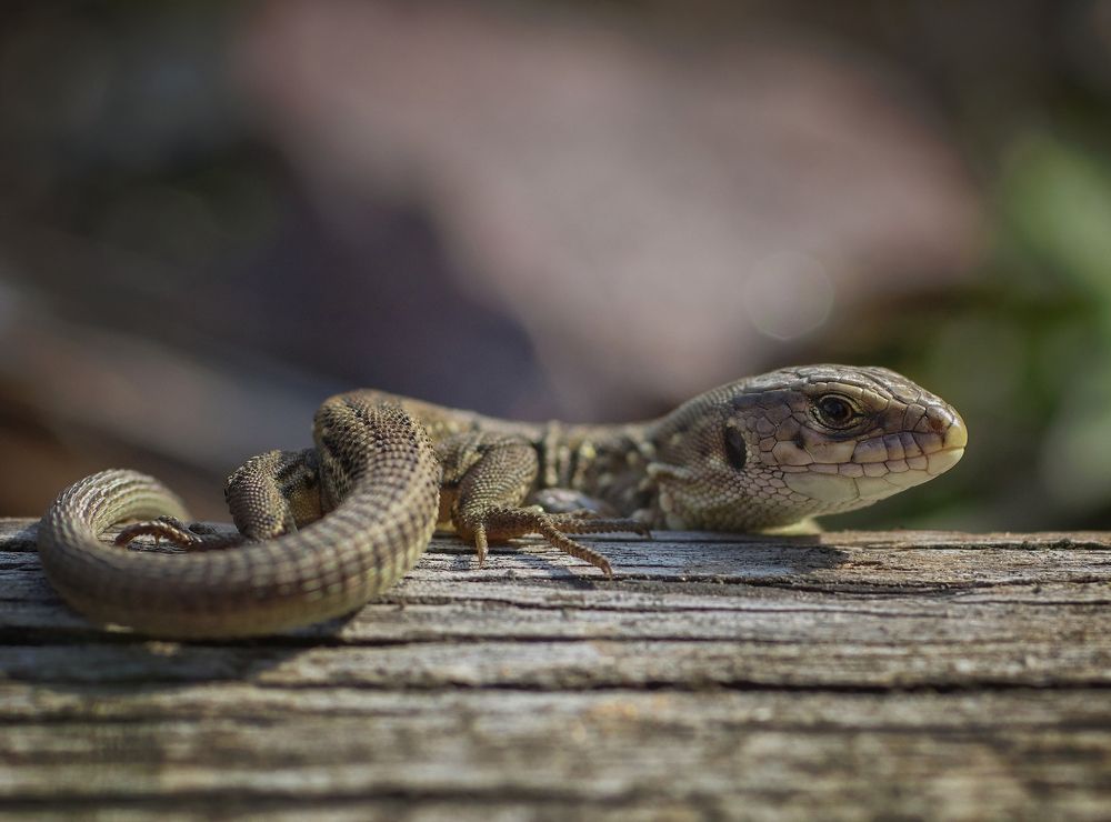 Photograph by Андрей Бурда