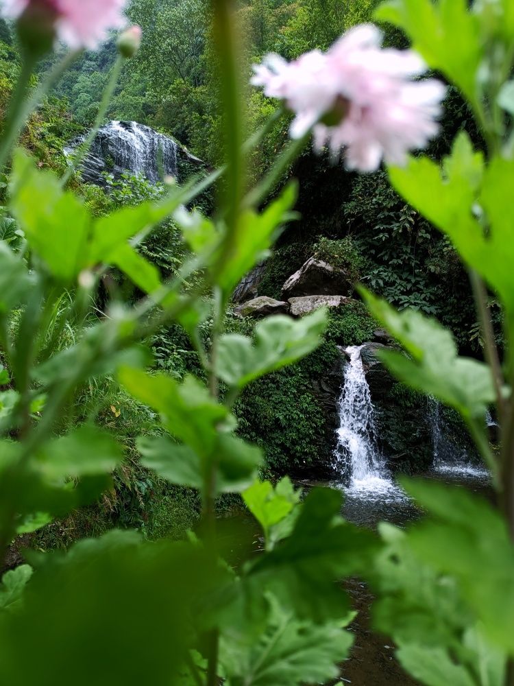 Photograph by Pradyumna Kumar Biswal