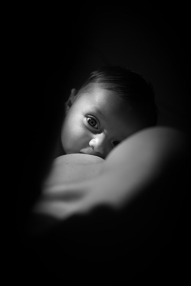 Фотография автора CAMILA ZANCANARO