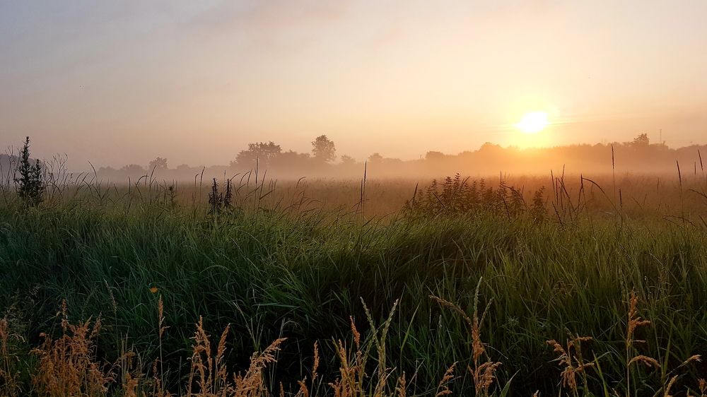 Photograph by Marina Kozlova