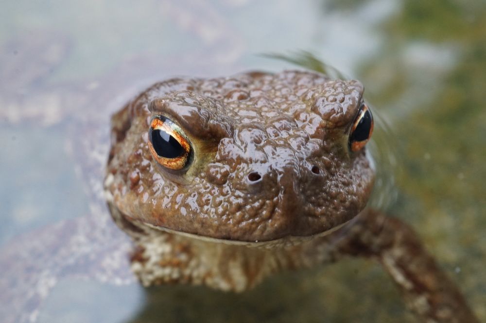 Photograph by Михаил Трусов