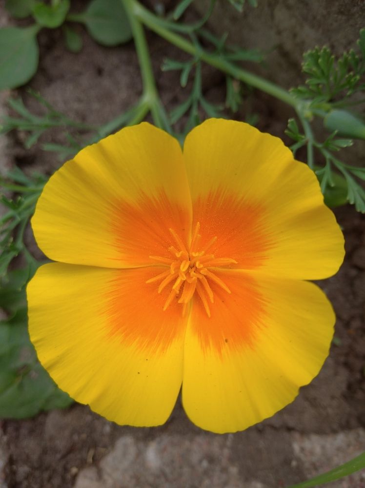 Photograph by Елена Коробченко