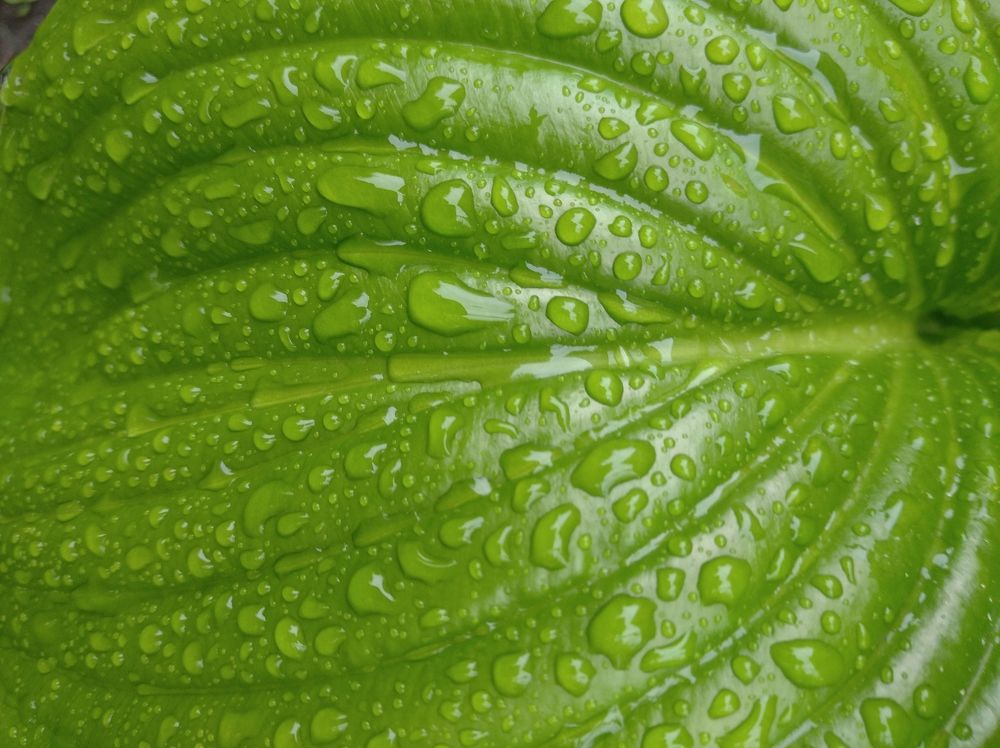 Photograph by Елена Коробченко