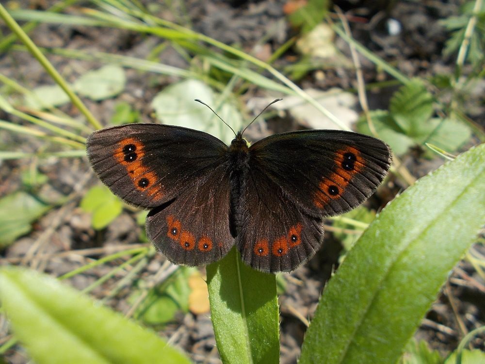 Photograph by Александр Прядко