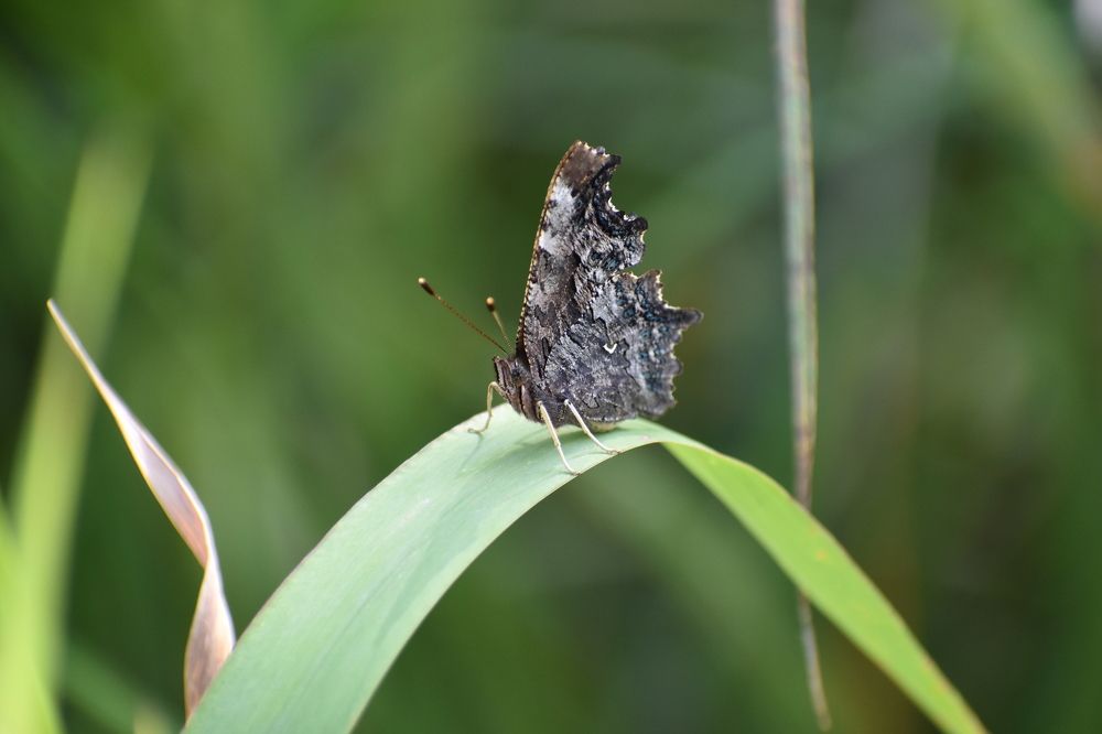 Photograph by Александр Прядко
