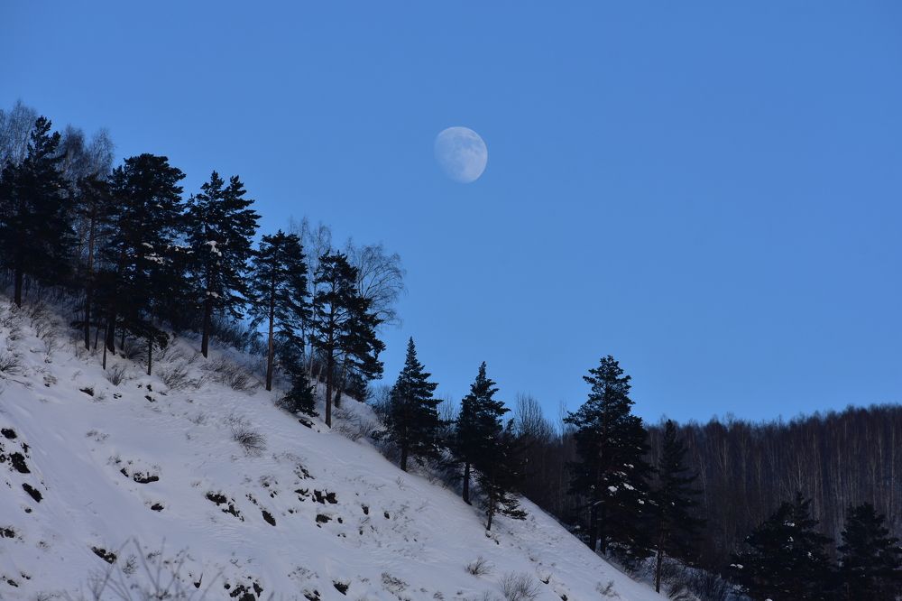 Photograph by Александр Прядко