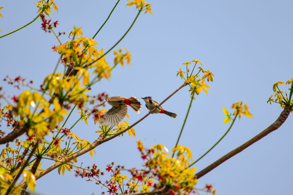 Photograph by Devjit Sarkar