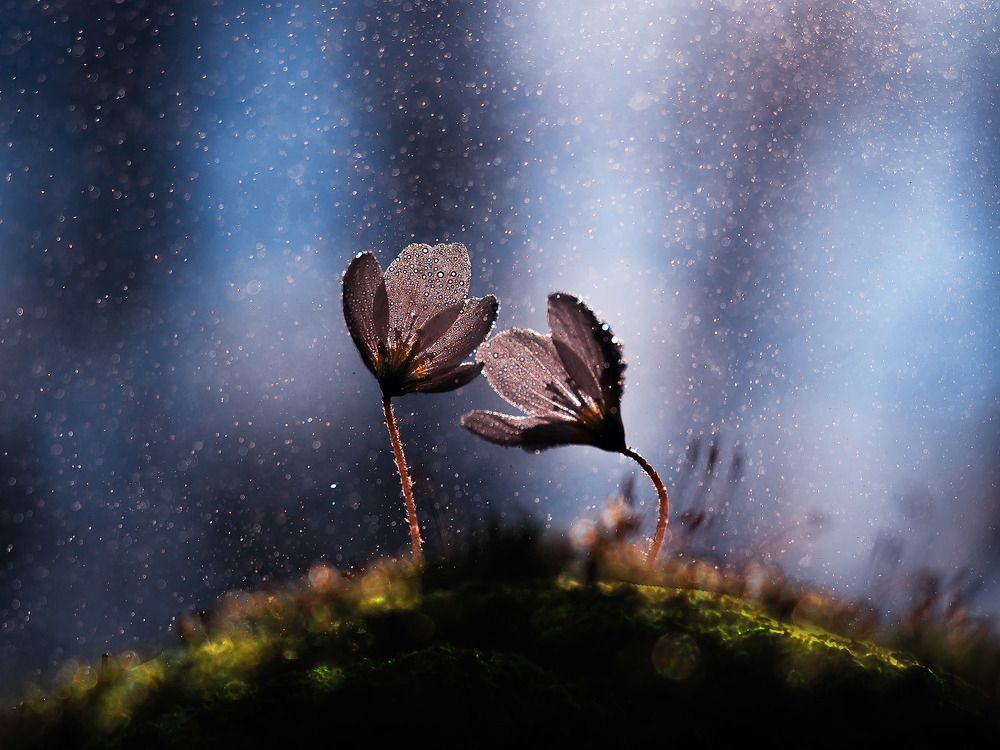 Photograph by Лукашук Евгений