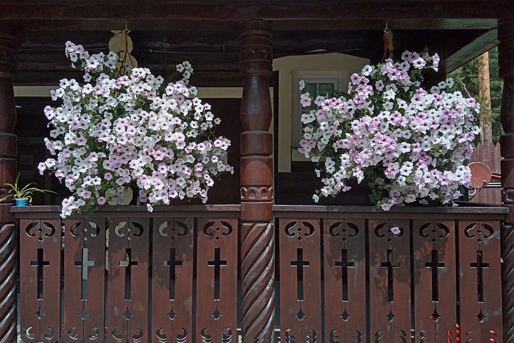 Photograph by Першин Виталий