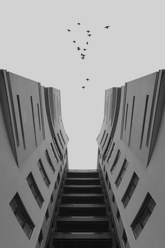 Photograph by Royajam