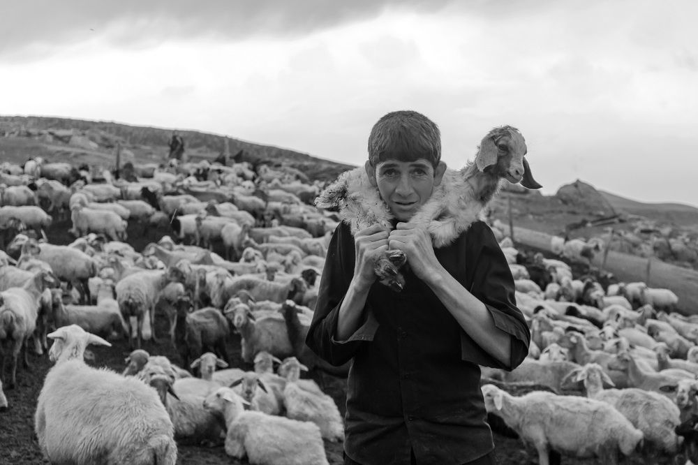 Photograph by mohammadreza behmaram