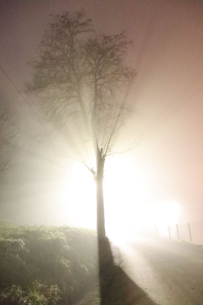 Photograph by Srdjan