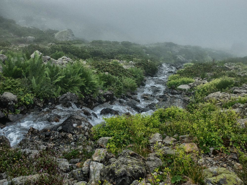 Photograph by Muzaffer Sütlüoğlu